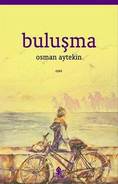 Osman AytekinHikaye (Öykü) KitaplarıBuluşma
