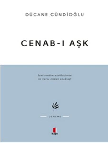 Dücane Cündioğluİslami Araştırma ve İnceleme KitaplarıCenab-ı Aşk
