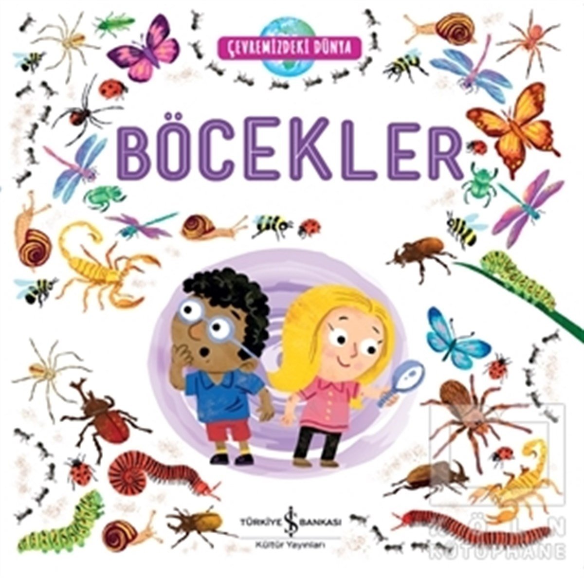 KolektifÇocuk RomanlarıÇevremizdeki Dünya Böcekler
