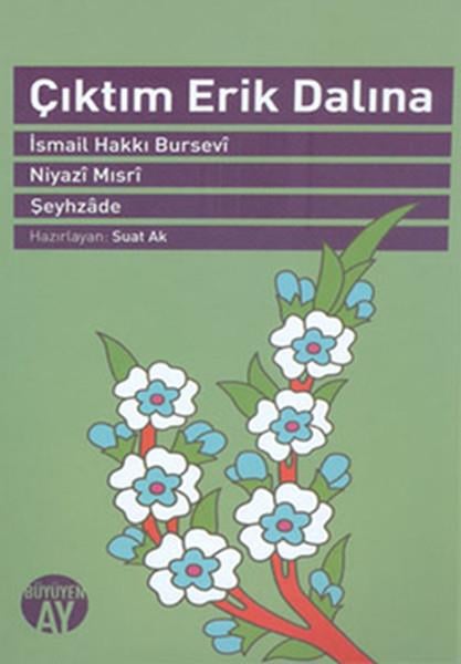 Suat AkTasavvuf KitaplarıÇıktım Erik Dalına