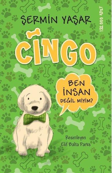 Şermin YaşarÇocuk Gençlik RomanlarıCingo