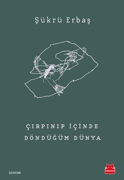 Şükrü ErbaşŞükrü ErbaşÇırpınıp İçinde Döndüğüm Dünya