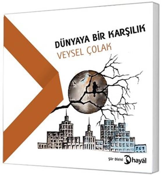 Veysel ÇolakTürkçe Şiir KitaplarıDünyaya Bir Karşılık