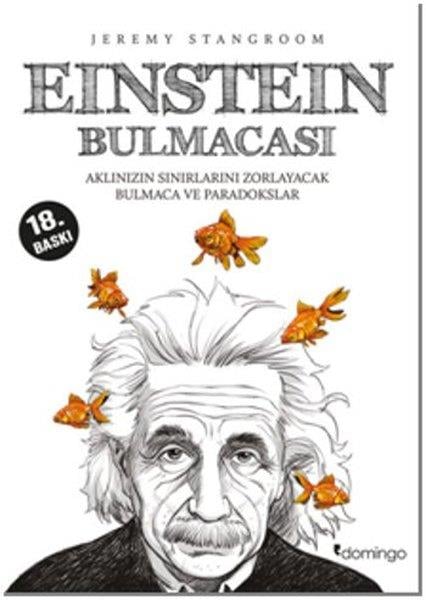 Kadriye GümüşRätselEinstein Bulmacası 1