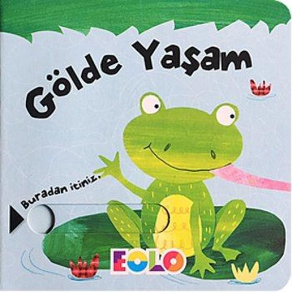 Özge MuzikaOkul Öncesi Hareketli KitaplarGölde Yaşam