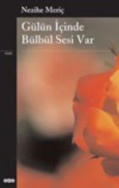 Nezihe MeriçHikaye (Öykü) Kitapları
