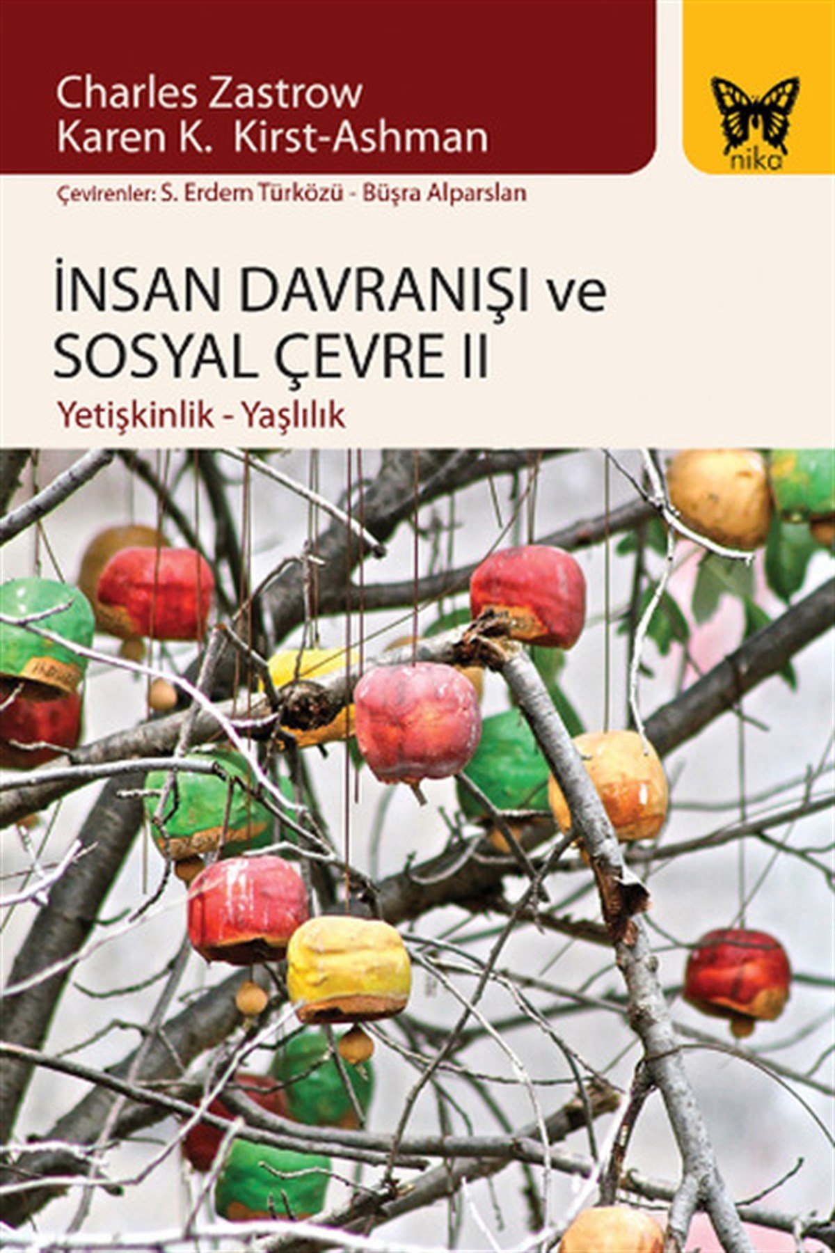 Leyla ÇelikSosyoloji Kitaplarıİnsan Davranışı ve Sosyal Çevre 2