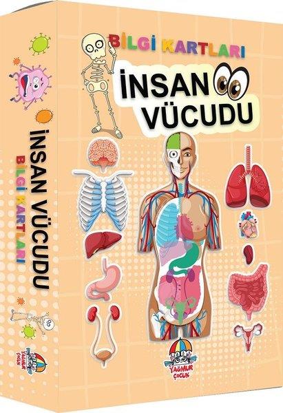 KolektifDiğerİnsan Vücudu - Bilgi Kartları