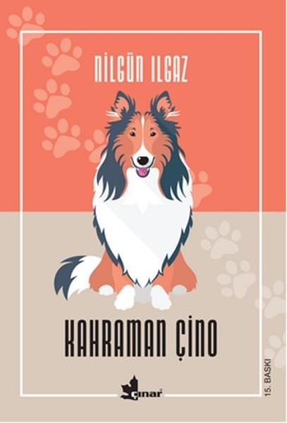 Nilgün IlgazÇocuk Hikaye KitaplarıKahraman Çino
