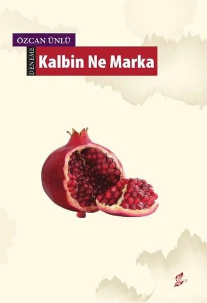 Adil VarolDeneme Kitapları