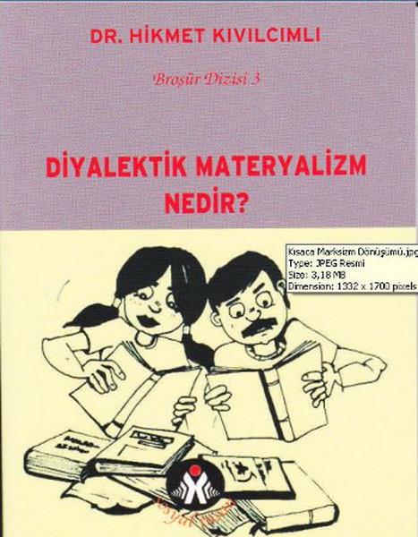 Hikmet KıvılcımlıSiyaset Felsefesi Kitapları