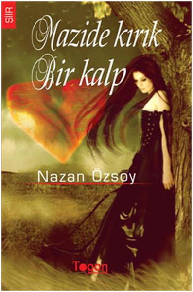Nazan ÖzsoyTürkçe Şiir KitaplarıMazide Kırık Bir Kalp