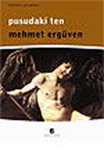 Mehmet ErgüvenCinsellik KitaplarıPusudaki Ten