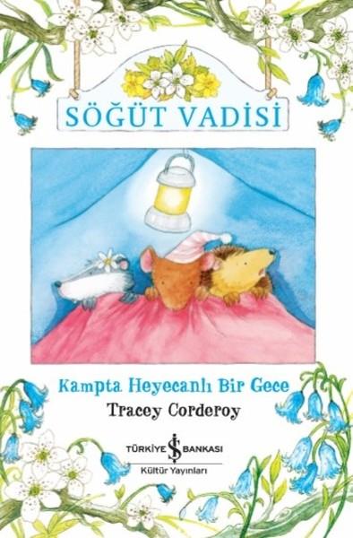 Fügen YavuzÇocuk Hikaye KitaplarıSöğüt Vadisi-Kampta Heyecanlı Bir Gece