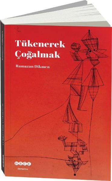 Ramazan DikmenDeneme Kitapları