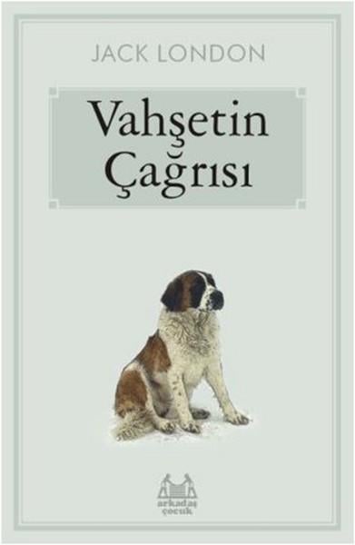 Ali AydoğanÇocuk RomanlarıVahşetin Çağrısı