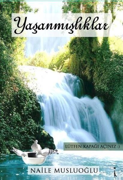 Naile MusluoğluTürkçe Şiir Kitapları