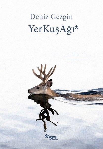 Deniz GezginTürkçe RomanlarYerkuşağı