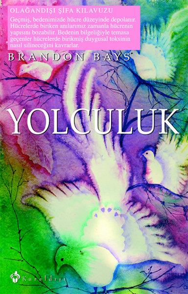 Brandon BaysSağlık İletişimi KitaplarıYolculuk