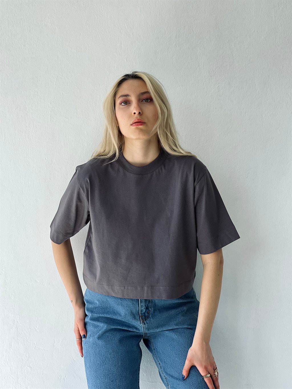 Retrobird Cotton Mink Color Soft Textured Loose Fit Women's Basic Crop T- Shirt | Retrobird