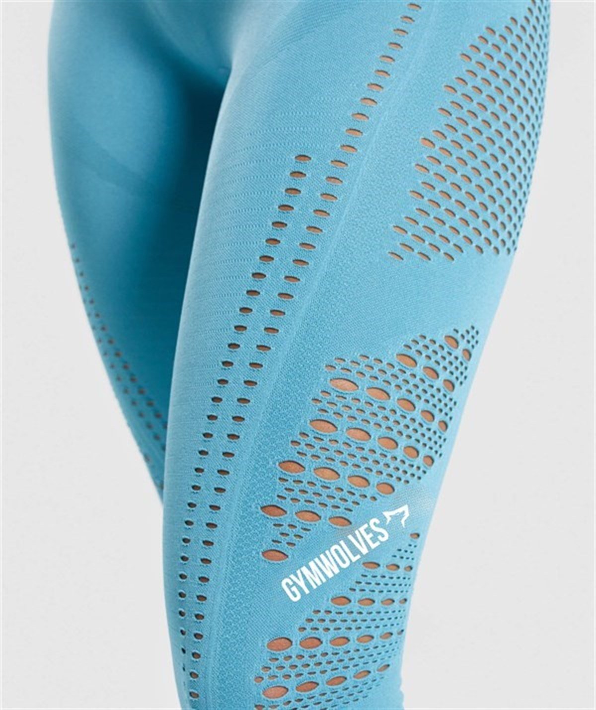 Gymwolves Aktive Power Light Blue Women Seamles Sport Leggings