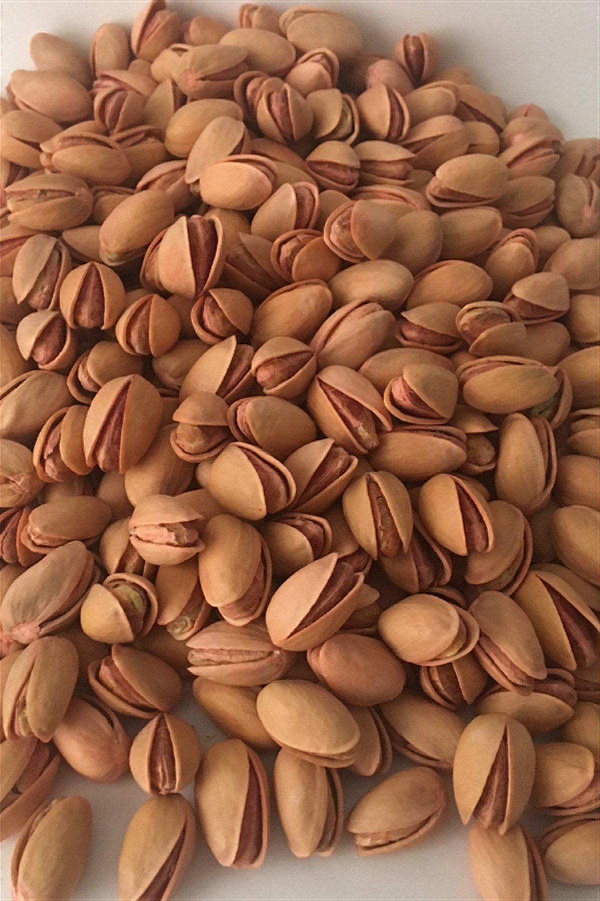 Dalında Duble Anaçatlak Siirt Fıstığı 1 KG 90 TL