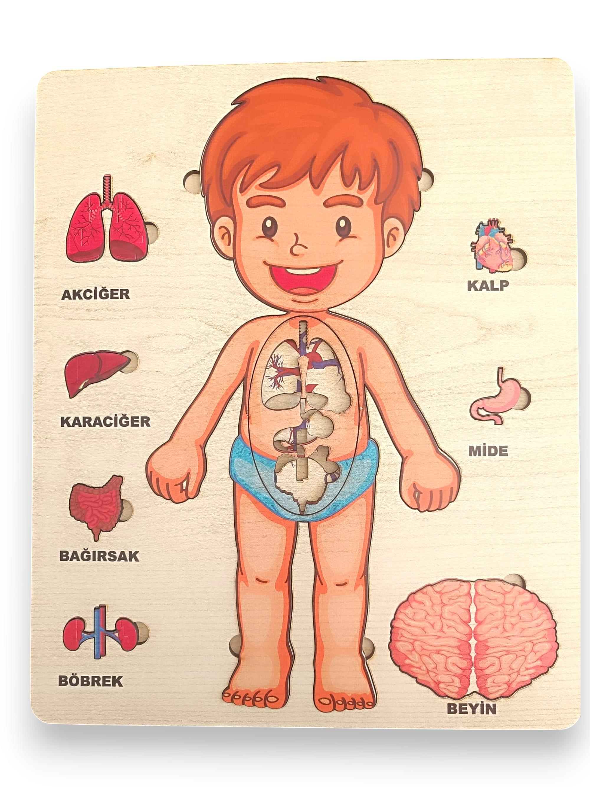 Ahşap Zeka Oyunu Eğitici Çocuk Oyunu 