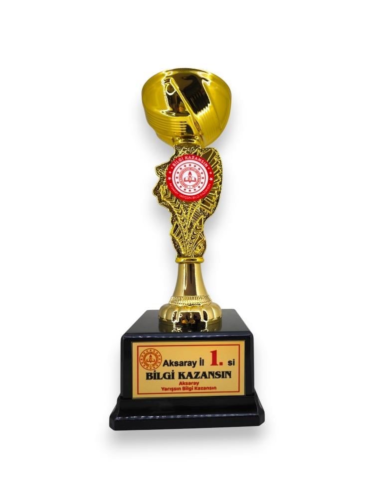 Okulekspres Kişileştirilebilir Öğrenciye Özel Ödül Kupası Başarı Kupası Kupa Madalya Gold Renk  30 cm Başarıyı Taçlandıran Hatıra  Öğrencilere Özel Motivasyon Armağanı Kişisel Tasarımlı Kupa Madalya – Eğitim Hayatının En Güzel Hatırası