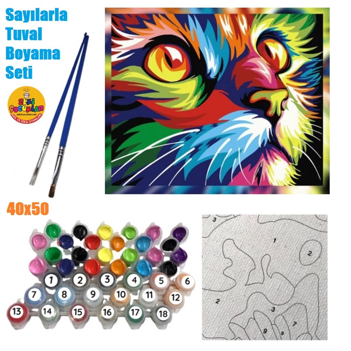 Sayılarla Tuval Boyama Ahşap Çerçeveli Kedi Renk Karnavalı + Fırça +  Akrilik Boyalar