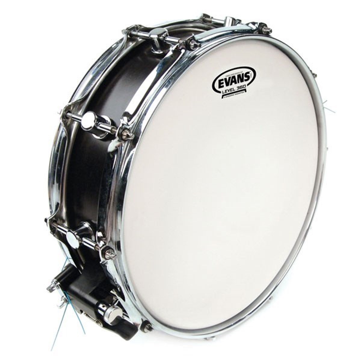 Evans Power Center Reverse Dot 12 Trampet Derisi