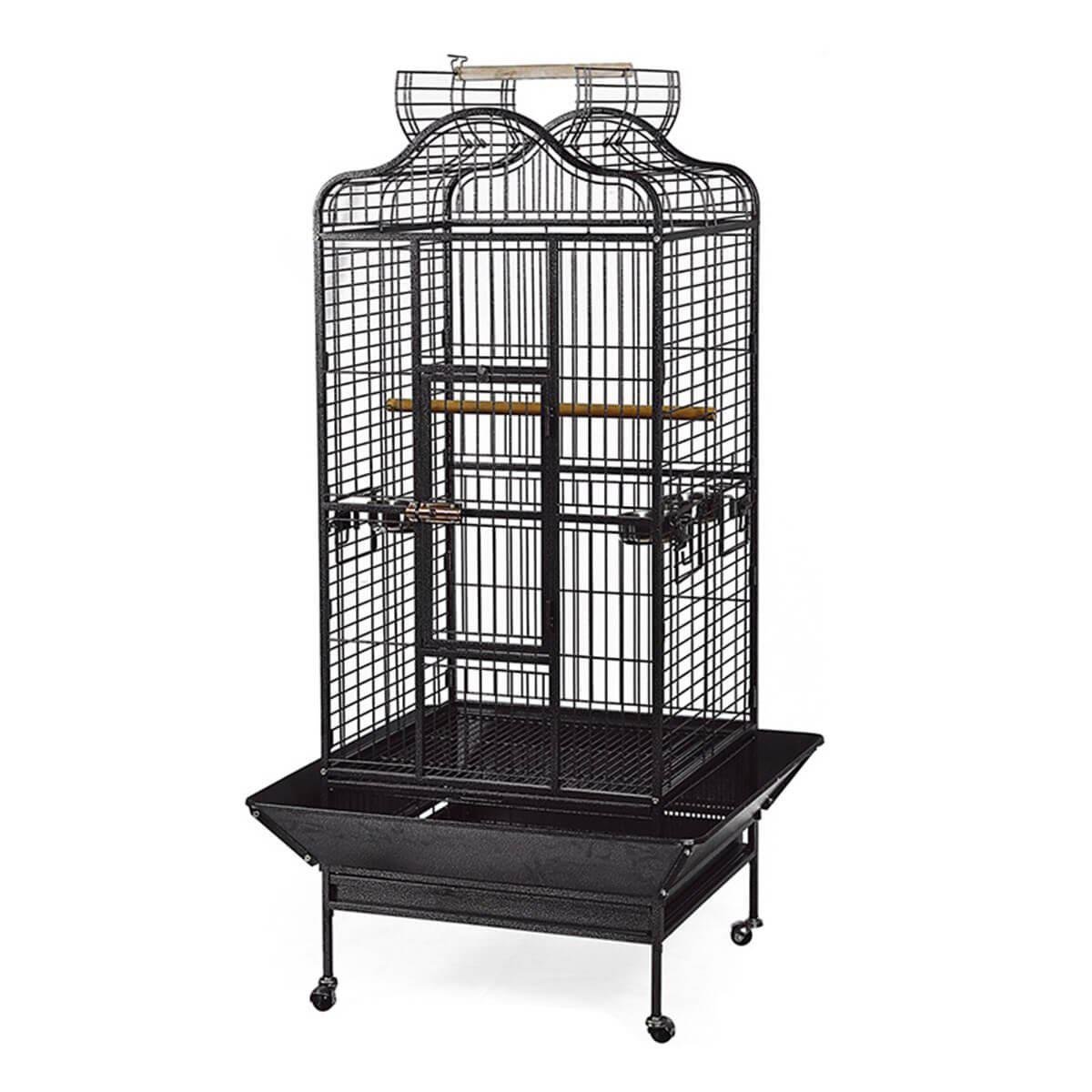 Dayang Papağan Eğitim Kafesi Ayaklı 156 cm (Siyah) | ZooPet