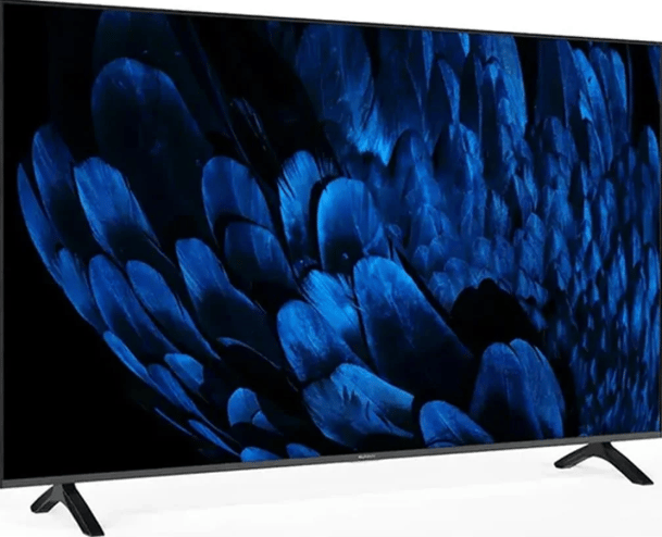 Sunny 65 İnç 4K UHD TV