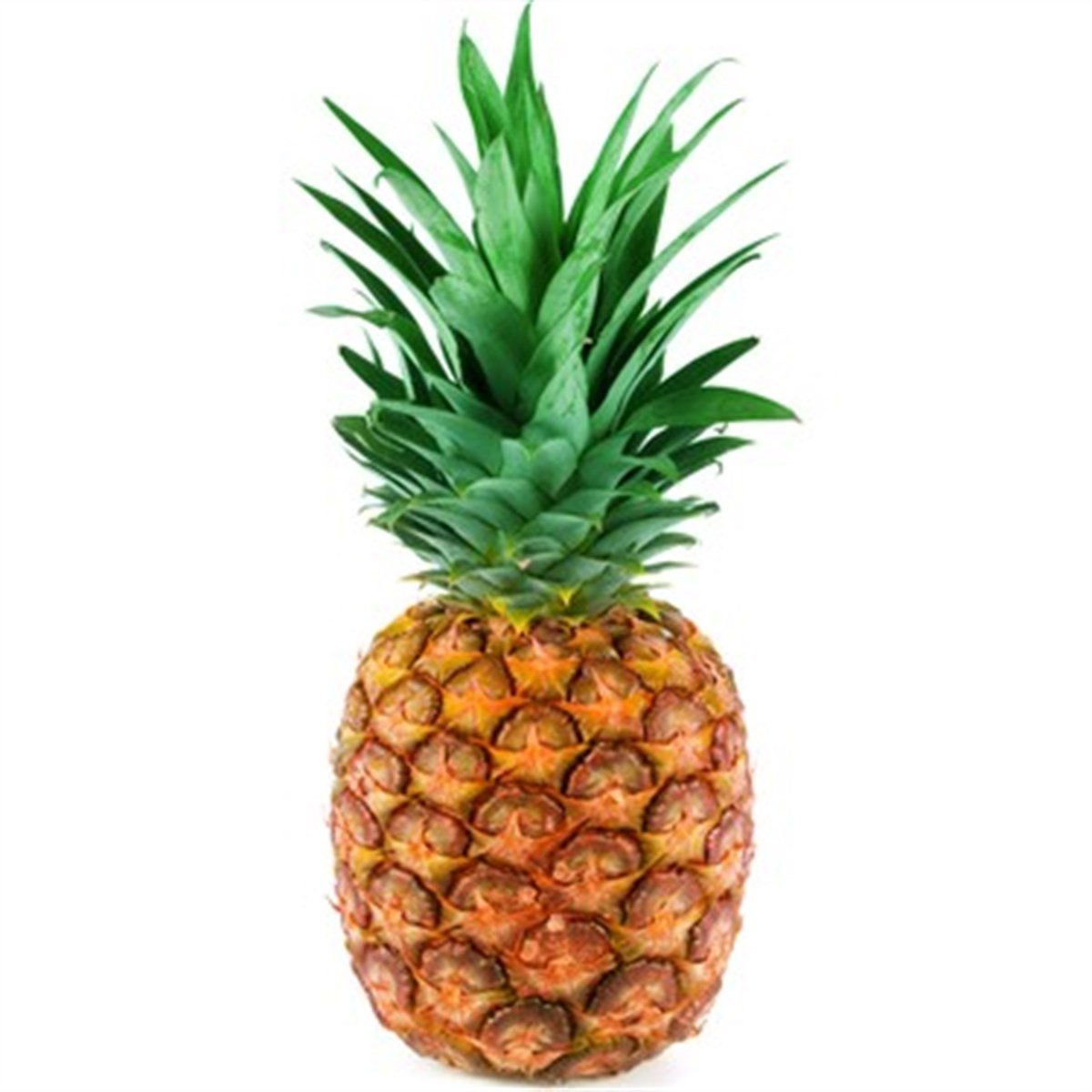 ANANAS KG.