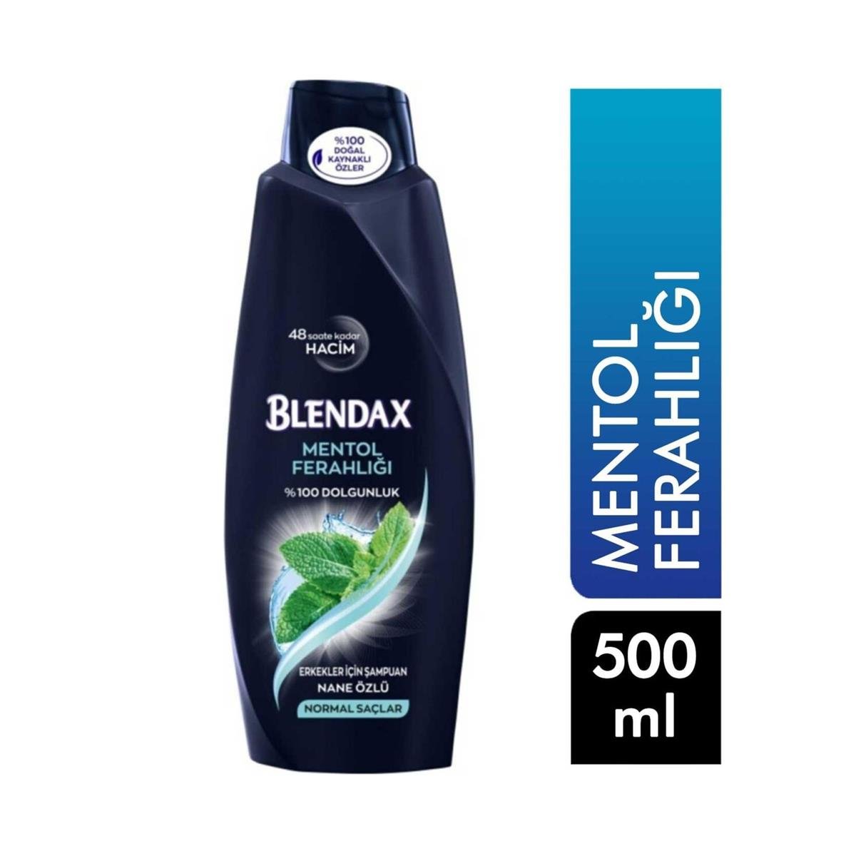 Blendax Erkeklere Özel Şampuan Mentollü 500 Ml