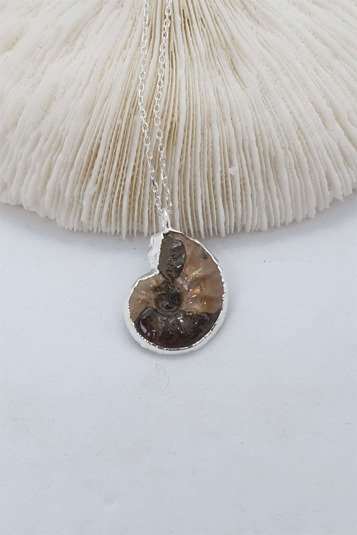 Ammonit Fosil Zincirli Sade Kolye
