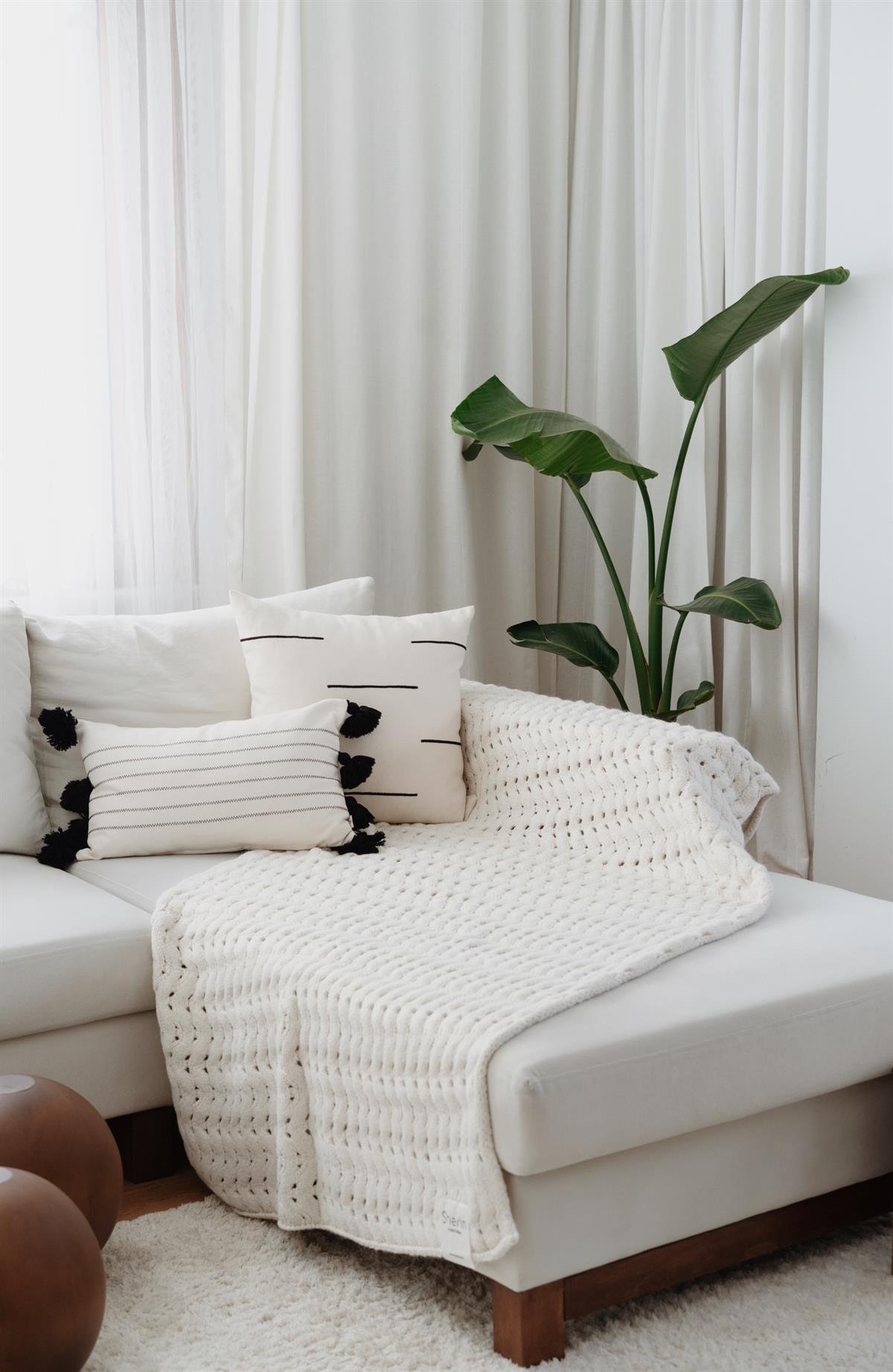 Tv blanket sale