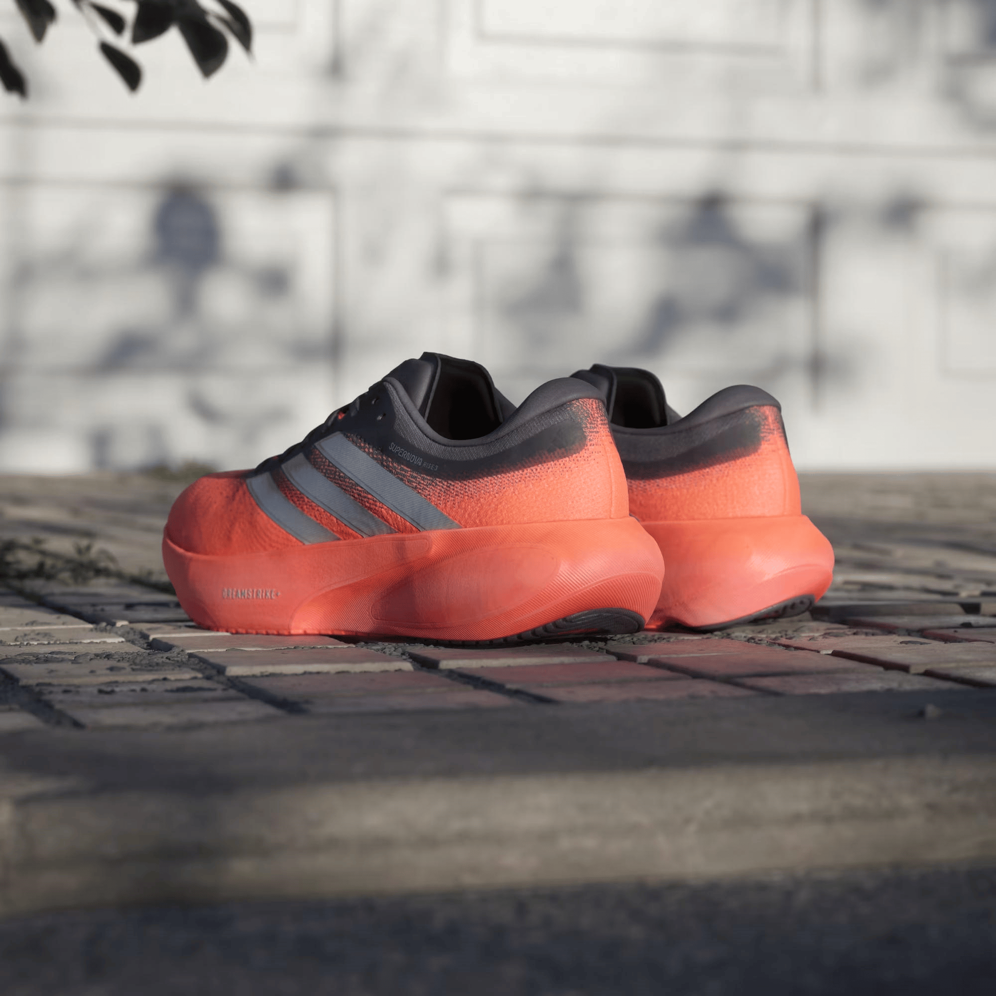 adidas Supernova Rise 3 Erkek Koşu Ayakkabısı JP8689 | Dalkılıç Spor