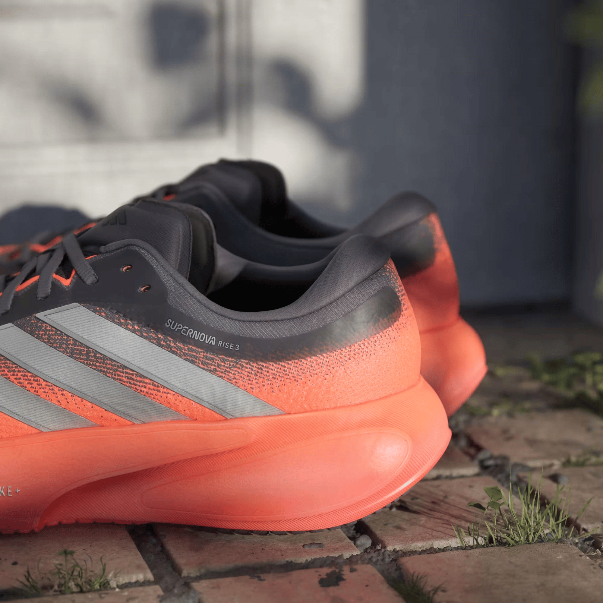 adidas Supernova Rise 3 Erkek Koşu Ayakkabısı JP8689 | Dalkılıç Spor