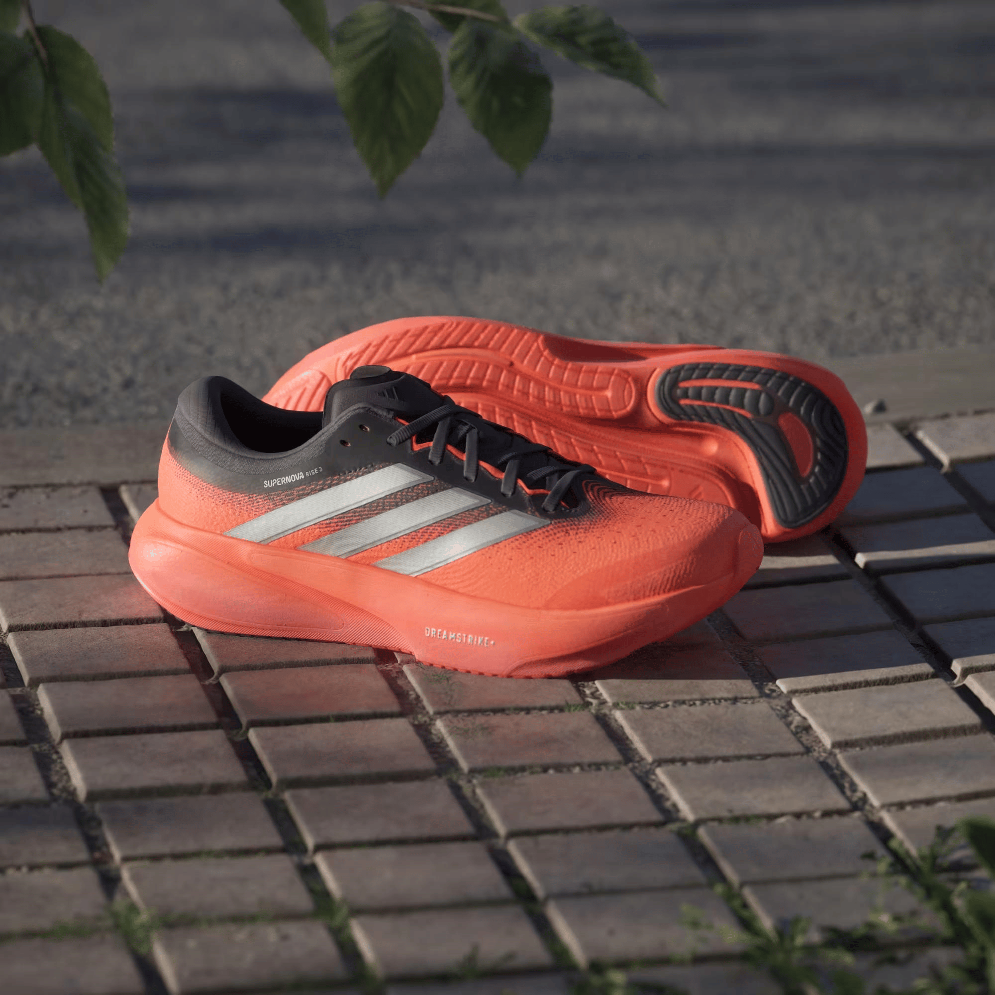 adidas Supernova Rise 3 Erkek Koşu Ayakkabısı JP8689 | Dalkılıç Spor