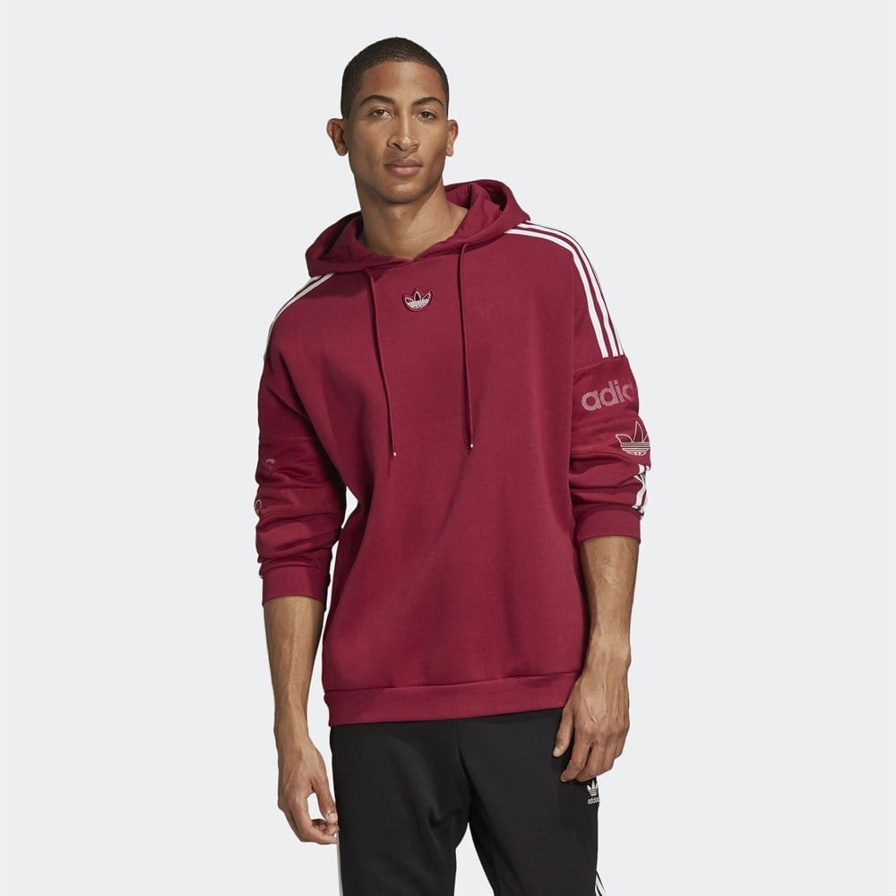 Adidas team signature trefoil hoodie 2025
