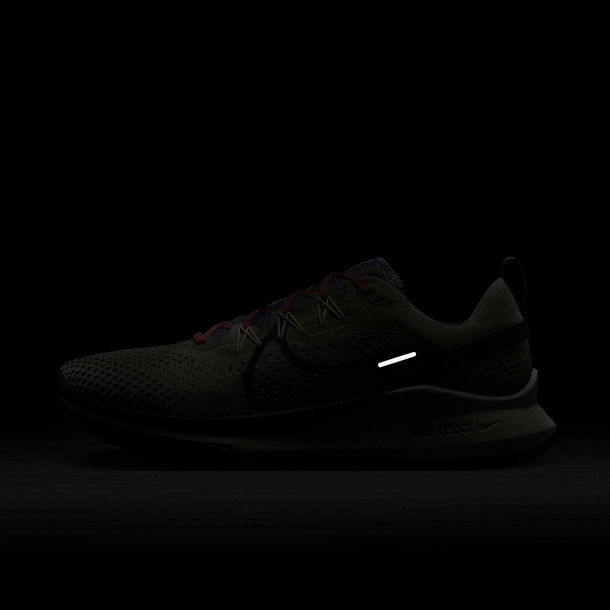 Nike Pegasus Trail 4 Erkek Koşu Ayakkabısı DJ6158-007