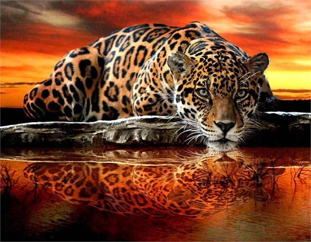 Kızıl Leopar Elmas Mozaik Tablo 60x50 cm - marcelsanat.com