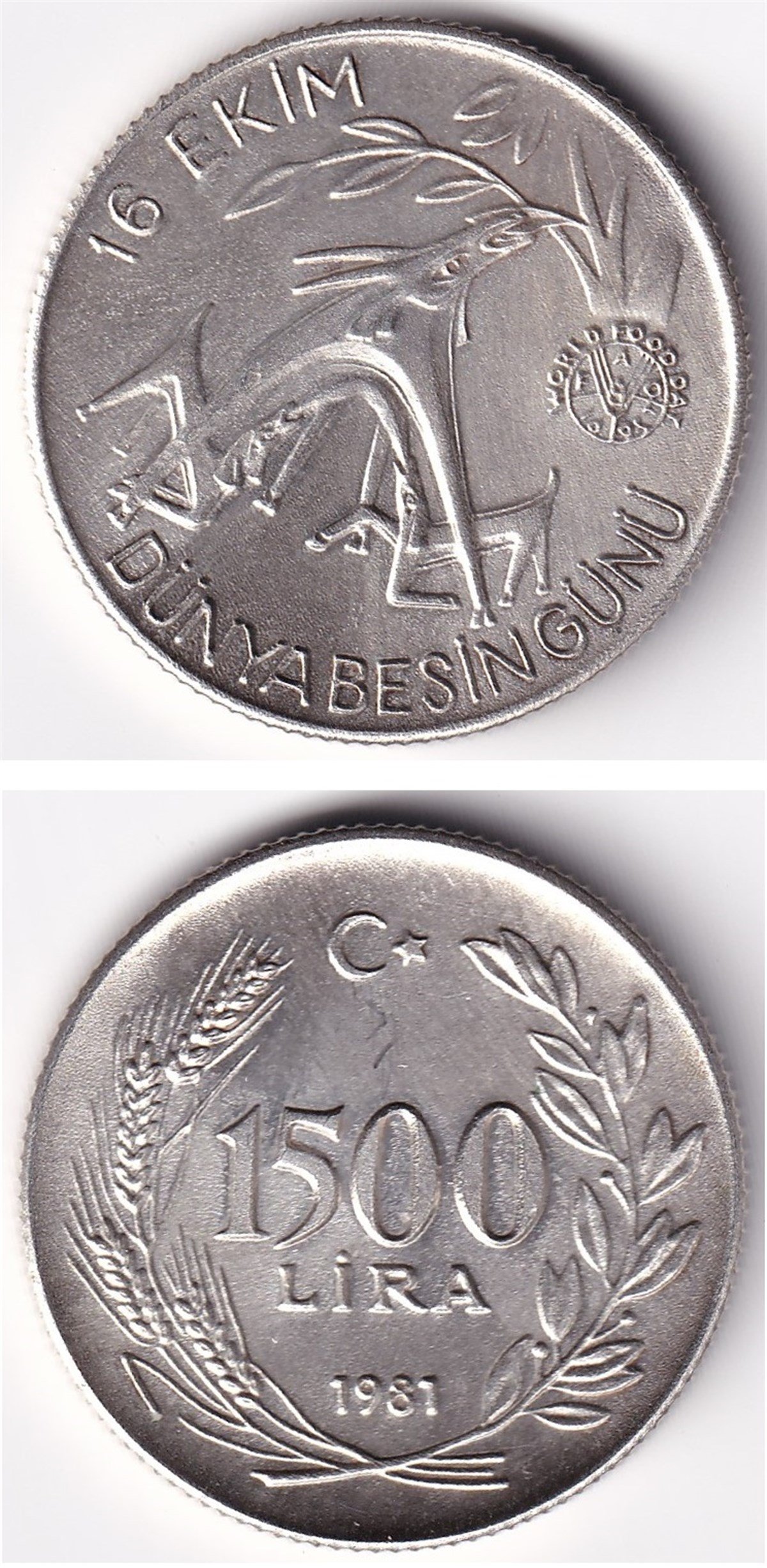 F.A.O. 1.500 Lira (1981) Gümüş Dünya Besin Günü ÇİL Eski Madeni