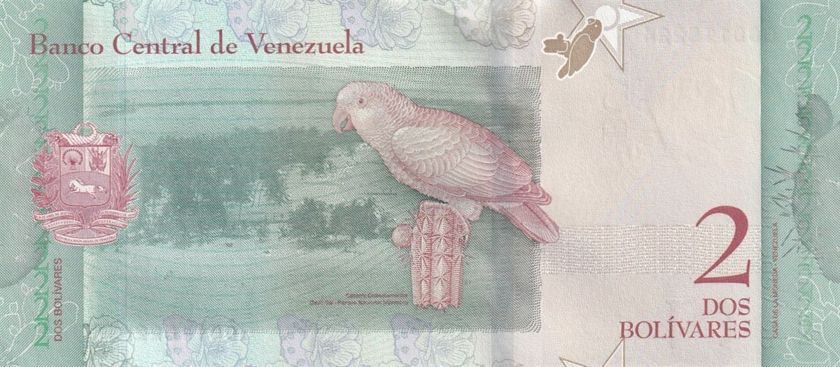 Venezuela, 2 Bolivar (2018) P#101 ÇİL Eski Yabancı Kağıt Para