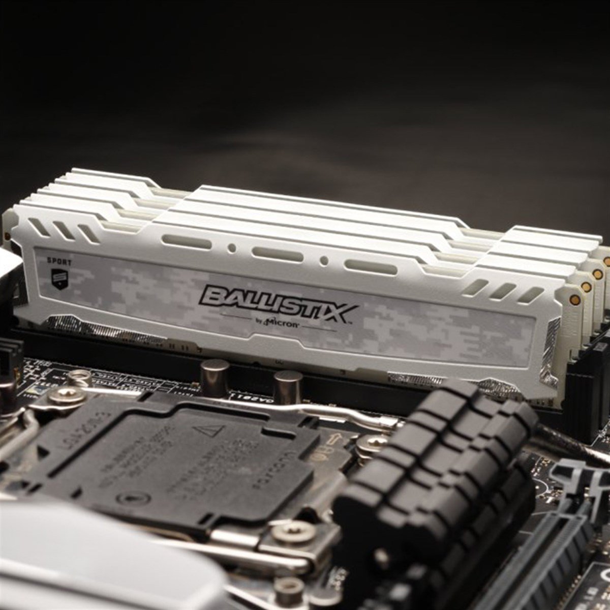 Crucial ballistix shop sport 3200