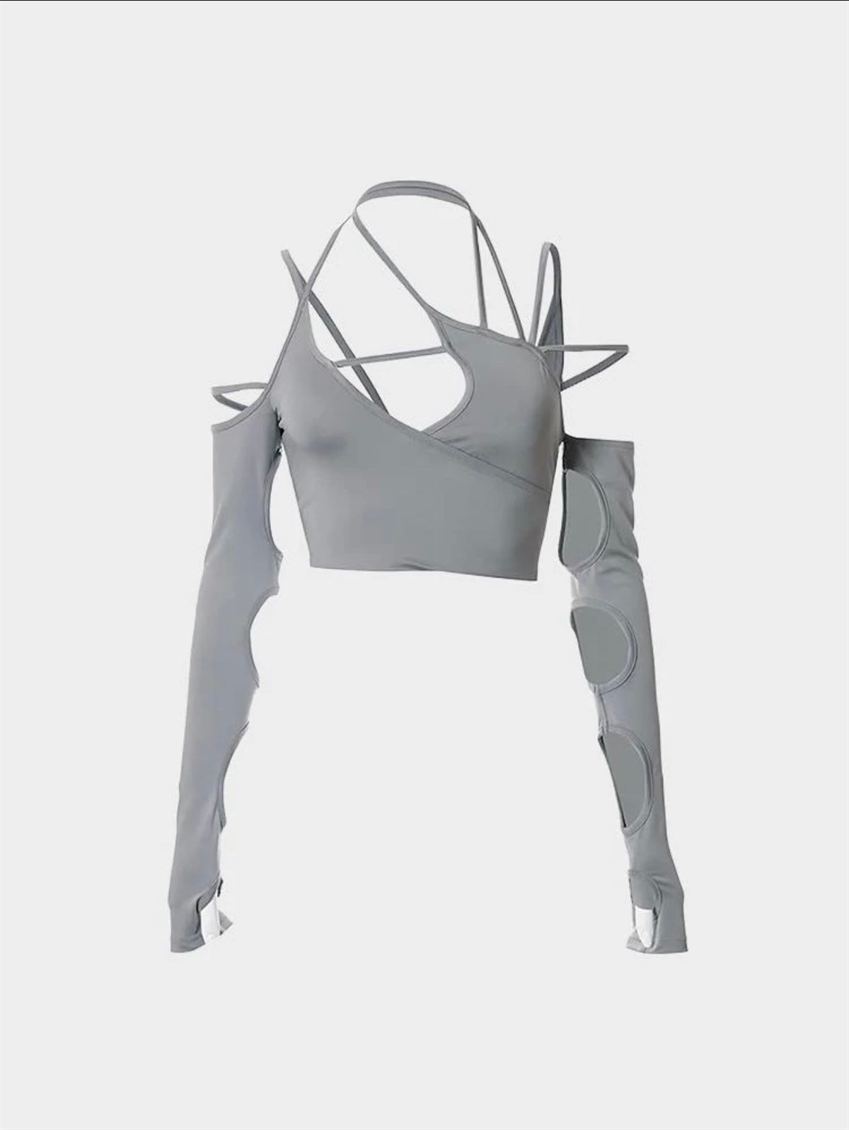 Silverfish Top