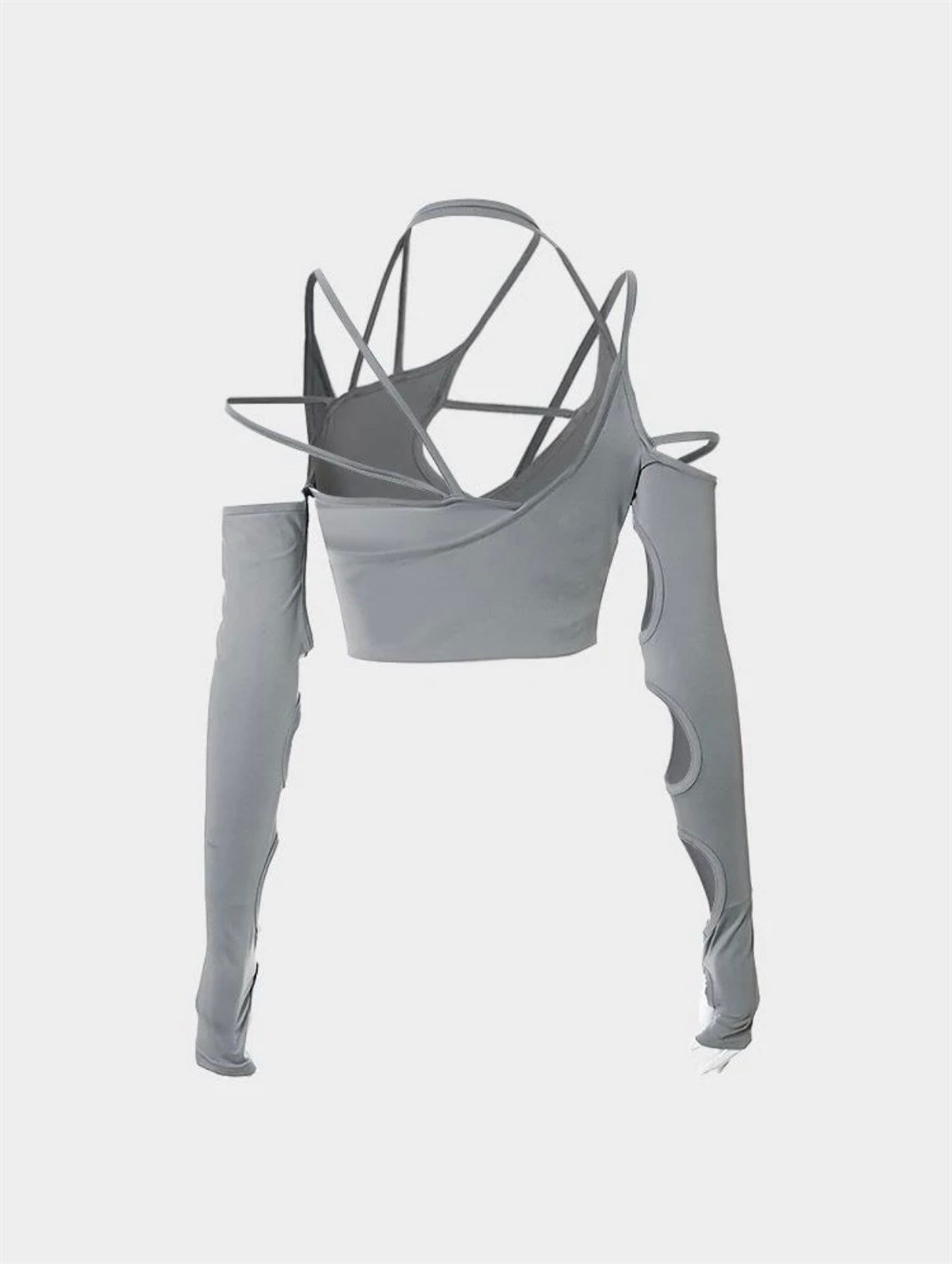 Silverfish Top