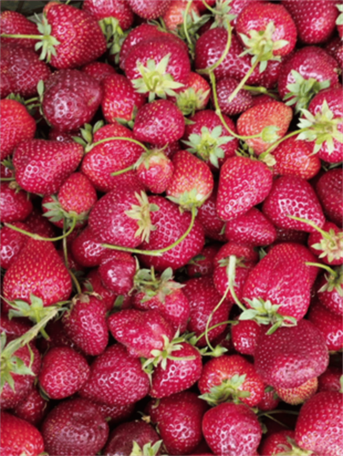 Ev Yapımı Çilek Reçeli (420 Gr)
