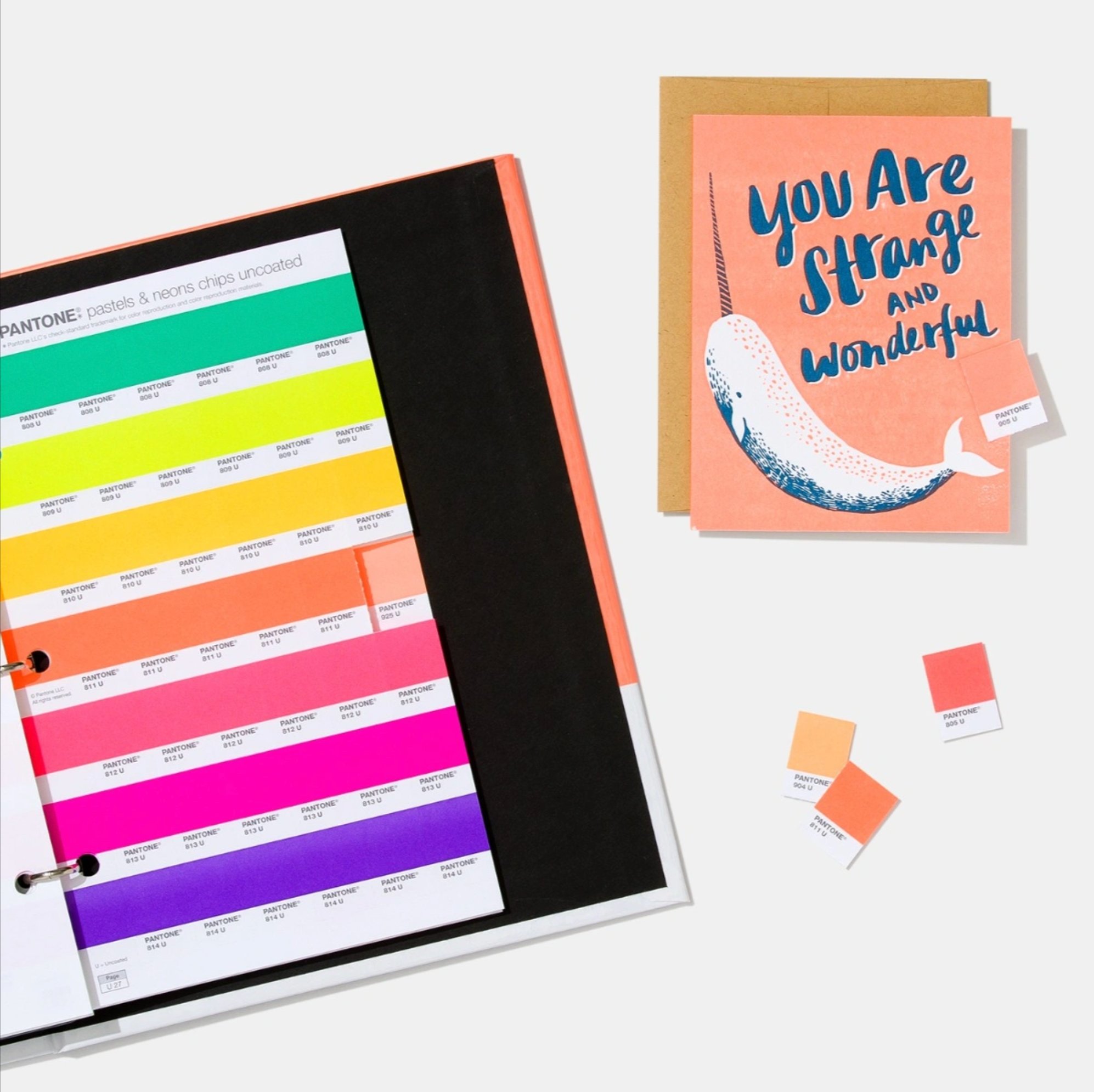PANTONE PASTELS & NEONS CHIPS　未開封 未使用 PASTELS & NEONS CHIPS | COATED & UNCOATED (FORMER EDITION)