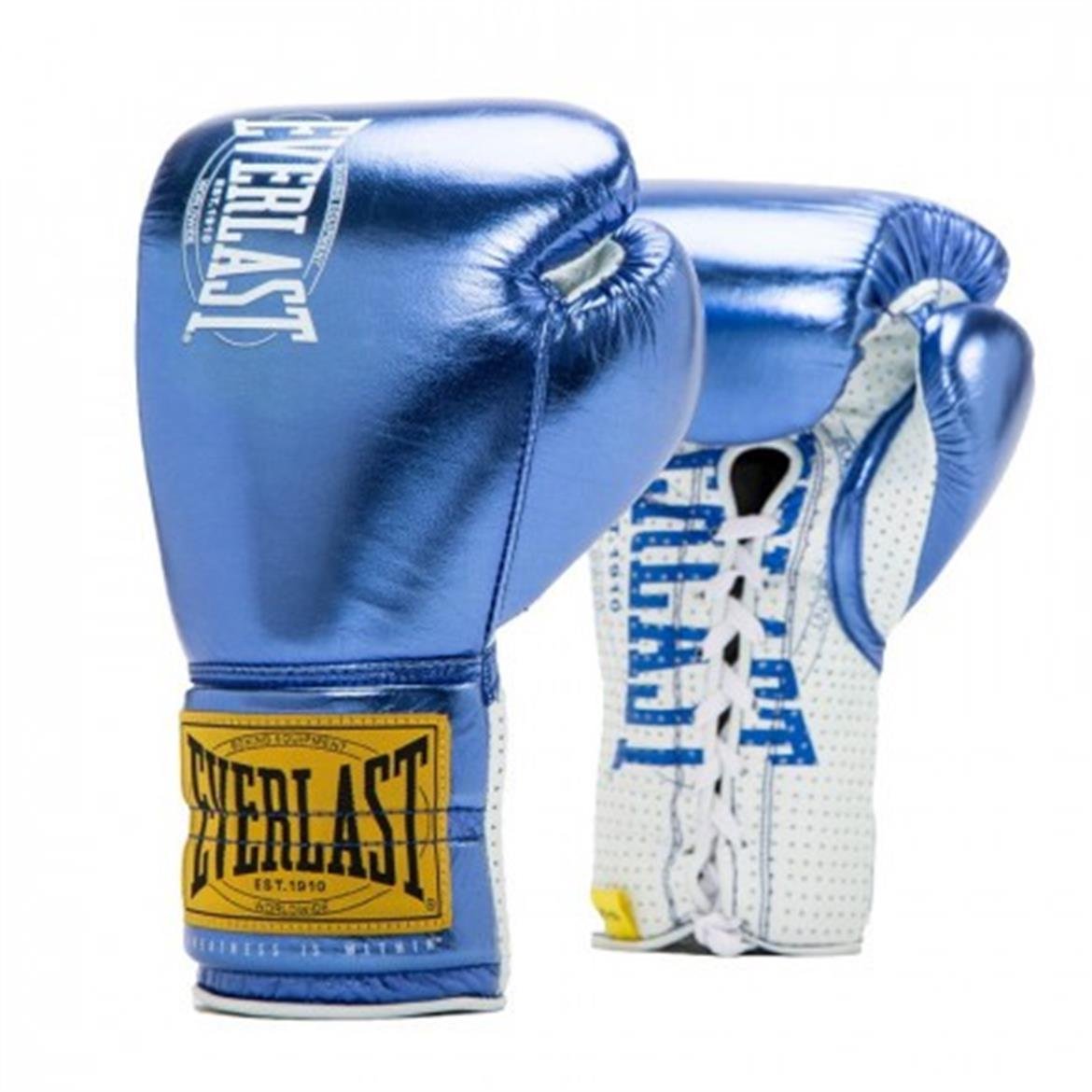 EVERLAST 1910 PRO FIGH BOKS ELDİVENİ | Sport Works
